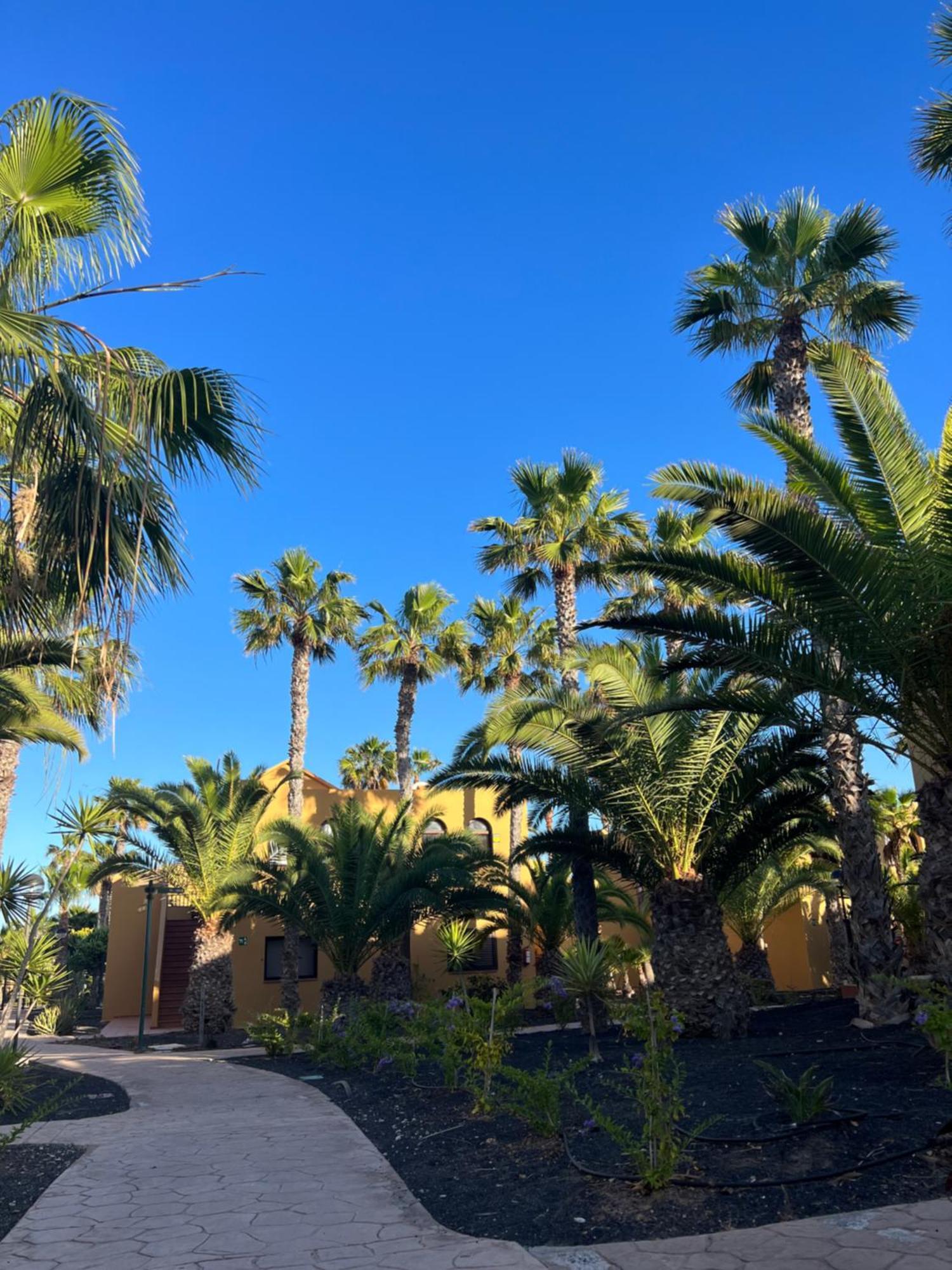 Apartament Casa De Leon Corralejo Zewnętrze zdjęcie