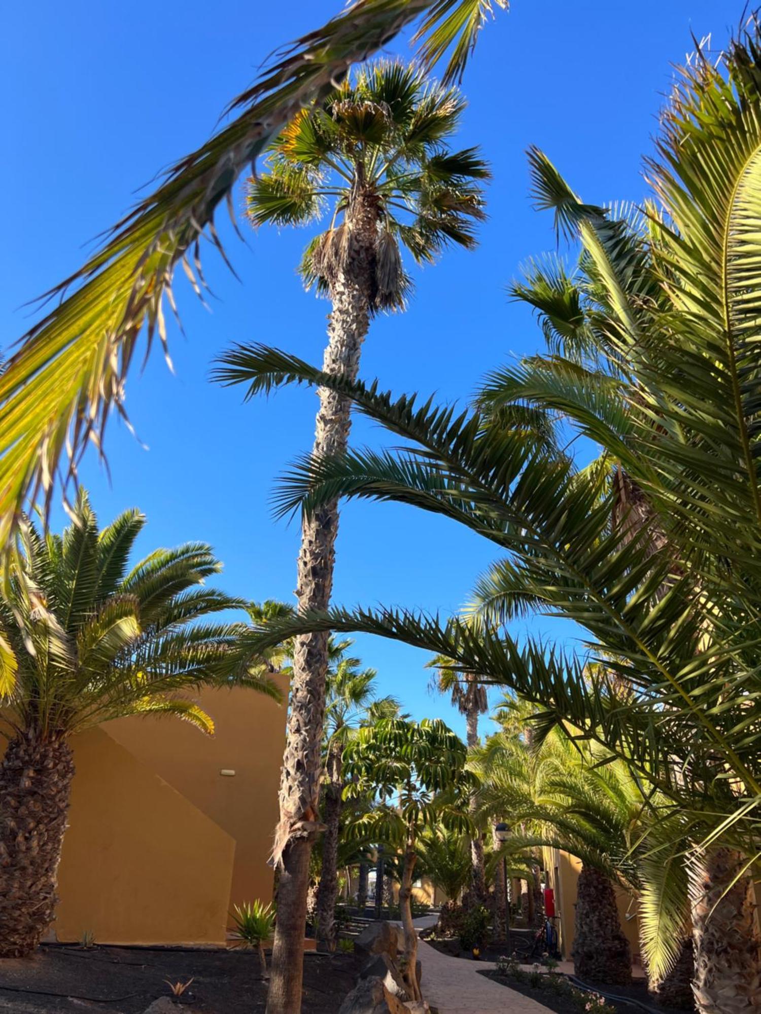 Apartament Casa De Leon Corralejo Zewnętrze zdjęcie